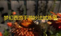 梦幻西游手游妙法试炼第十一章攻略